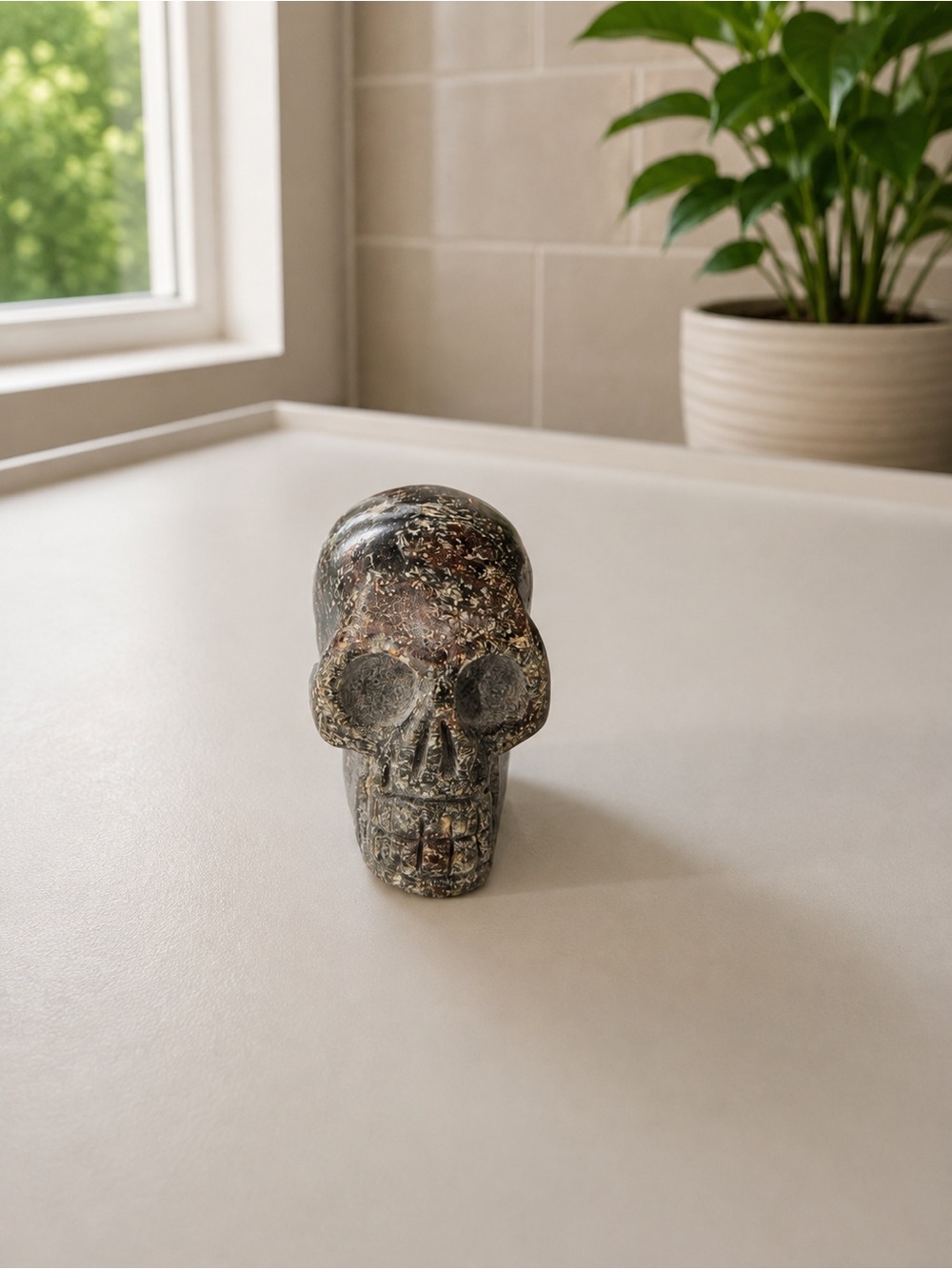 Arfvedsonite Skull